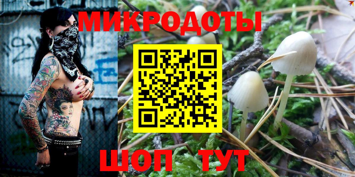 Галлюциногенные грибы Psilocybine cubensis Усолье-Сибирское