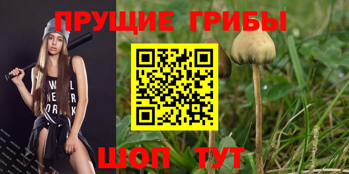 Псилоцибиновые грибы GOLDEN TEACHER  Вход с VPN  как найти закладки  Псилоцибиновые грибы MAGIC MUSHROOMS  Усолье-Сибирское 